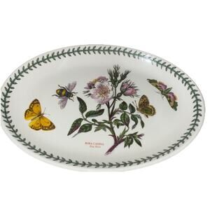 Portmeirion Botanic Garden Dianthus Rosa Canina Oval Steak Platter Dog Rose